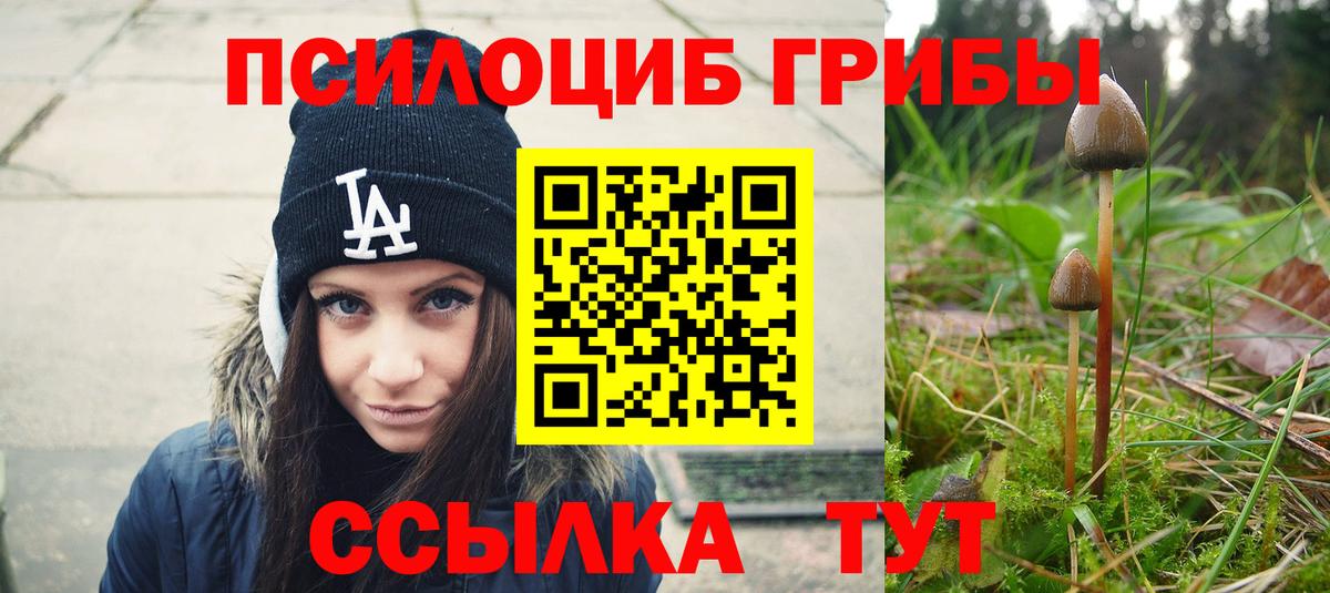 Галлюциногенные грибы GOLDEN TEACHER  Вход с VPN  Острогожск 