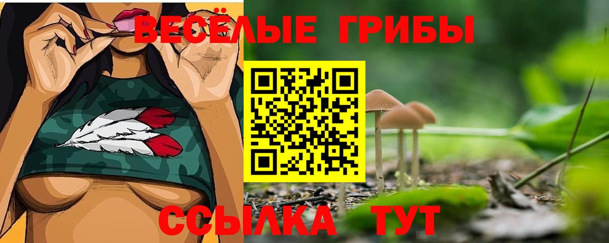 Галлюциногенные грибы Psilocybe Острогожск